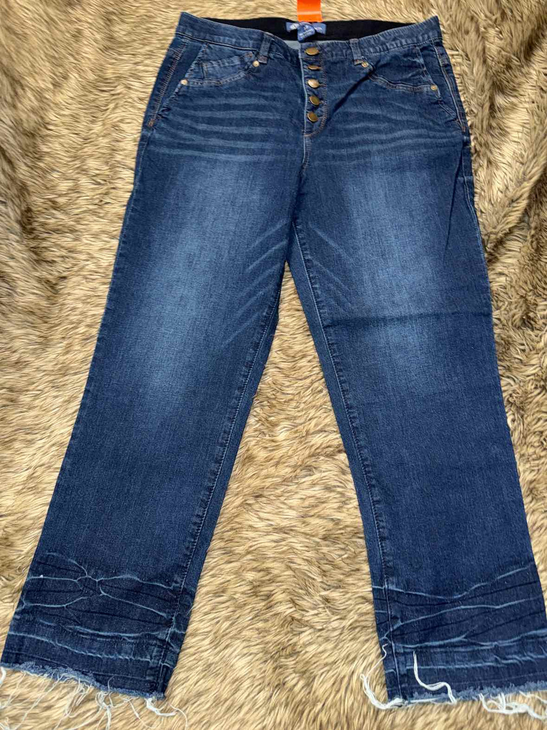 12 - Democracy Capri