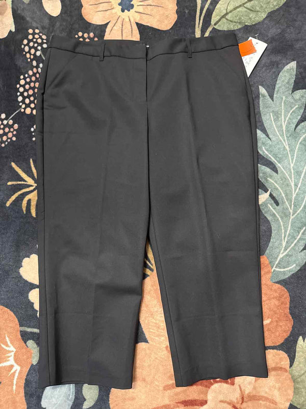 15/16 - Maurices Pants