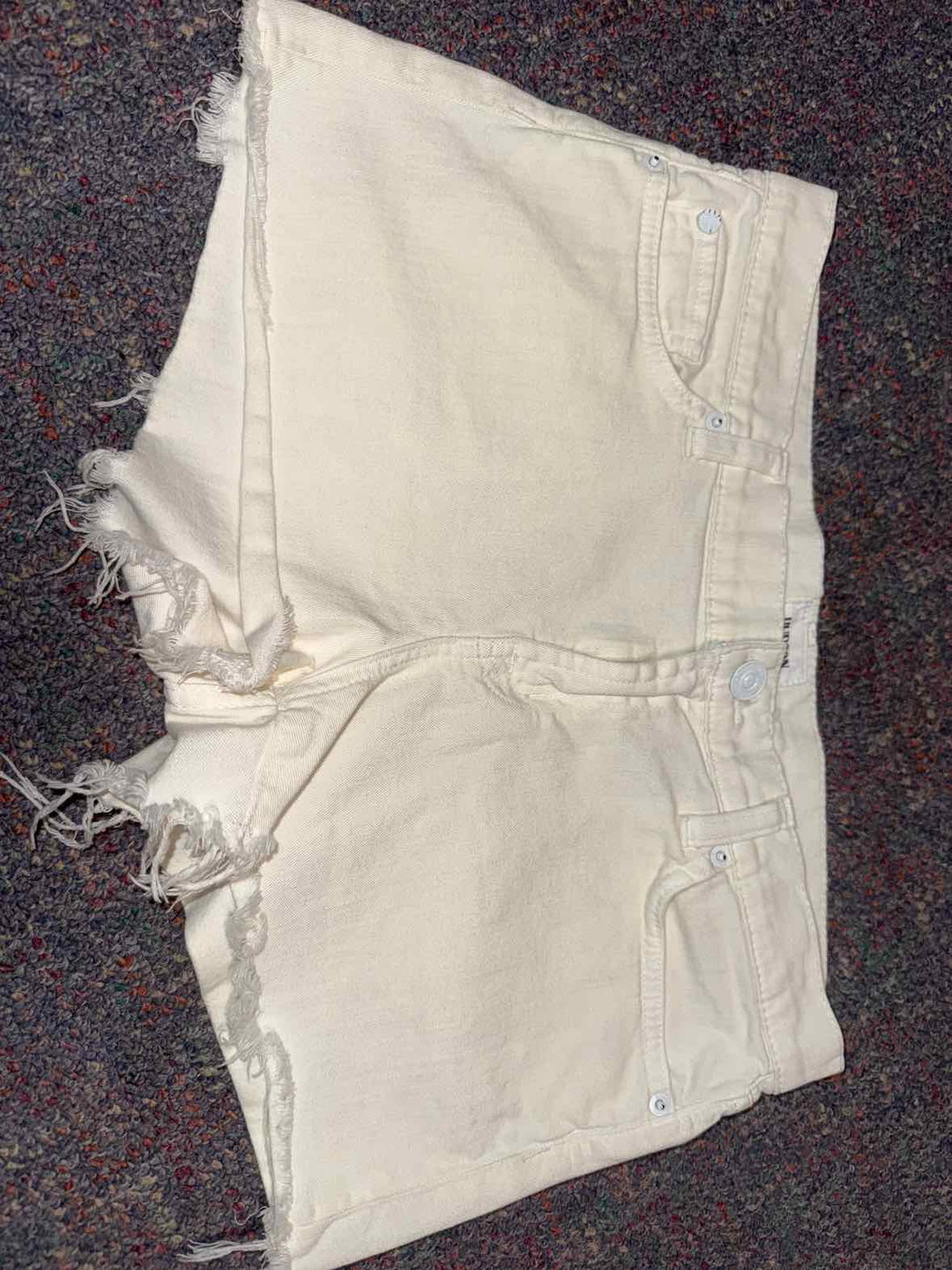 28 - Hudson Shorts